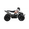 MINIQUAD RACER ELETTRICO 1000W Profive