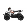 MINIQUAD RACER ELETTRICO 1000W Profive
