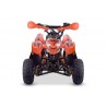 QUAD ADVENTURE 110cc 4T R6 Profive