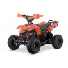 QUAD ADVENTURE 110cc 4T R6 Profive