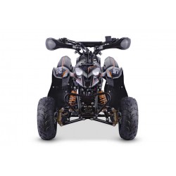 QUAD ADVENTURE 110cc 4T R6 Profive