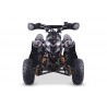 QUAD ADVENTURE 110cc 4T R6 Profive