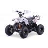 QUAD ADVENTURE 110cc 4T R6 Profive