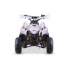 QUAD ADVENTURE 110cc 4T R6 Profive