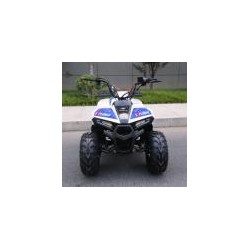 QUAD EXPLORER 110CC Profive