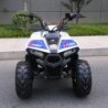 QUAD EXPLORER 110CC Profive