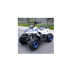 MINIQUAD EXPLORER 110