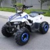 MINIQUAD EXPLORER 110