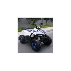 QUAD EXPLORER 110CC Profive