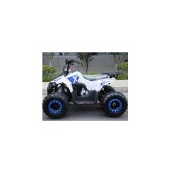 QUAD EXPLORER 110CC Profive