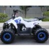 QUAD EXPLORER 110CC Profive