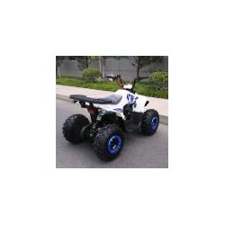 QUAD EXPLORER 110CC Profive