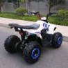 QUAD EXPLORER 110CC Profive