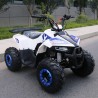 QUAD EXPLORER 110CC