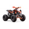 QUAD SKYNER 125cc 4T R8' PROFIVE