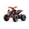QUAD SKYNER 125cc 4T R8' PROFIVE