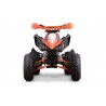 QUAD SKYNER 125cc 4T R8' PROFIVE