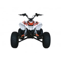 QUAD ONE 125CC R8 Profive