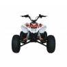 QUAD ONE 125CC R8 Profive