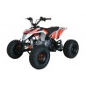 QUAD ONE 125CC R8 Profive