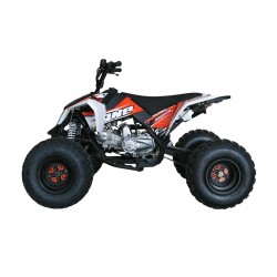 QUAD ONE 125CC R8 Profive