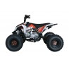 QUAD ONE 125CC R8 Profive