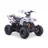 QUAD ADVENTURE 110cc 4T R6 Profive