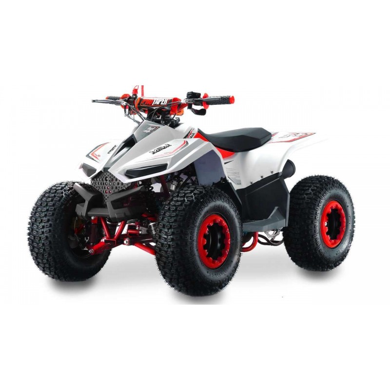 Lem QUAD ATV 110CC
