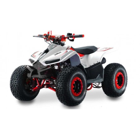 Lem QUAD ATV 110CC