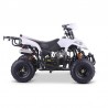 QUAD ADVENTURE 110cc 4T R6 Profive