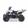QUAD ADVENTURE 110cc 4T R6 Profive