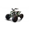 LEM QUAD SHARPER 125CC