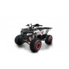 Lem Quad Hummer Tuning 125cc