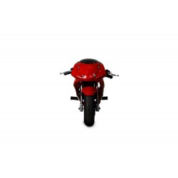 MINIMOTO GP Speed 49CC