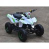 MINIQUAD RACER ELETTRICO 1000W Profive