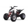 Lem QUAD KONDOR 250CC
