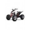 Lem Maxi QUAD KONDOR 250CC