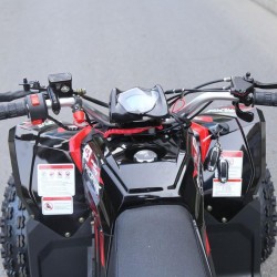 Quad Sportmax 125cc R8 Profive