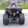Quad Sportmax 125cc R8 Profive