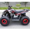 Quad Sportmax 125cc R8 Profive