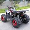 Quad Sportmax 125cc R8 Profive