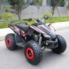 Quad Sportmax 125cc R8 Profive