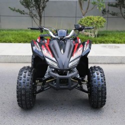 Quad Sportmax 125cc R8 Profive