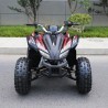 Quad Sportmax 125cc R8 Profive