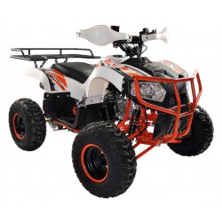 KXD QUAD DRAGON 125CC R8