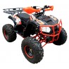 KXD QUAD DRAGON 125CC R8