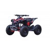 QUAD Ares 1000W