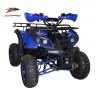 KXD QUAD HUMMER Pro 125CC R7