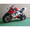 MINIMOTO GP Racing 49cc