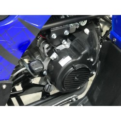 KXD Quad T-Rex Big 200cc R10